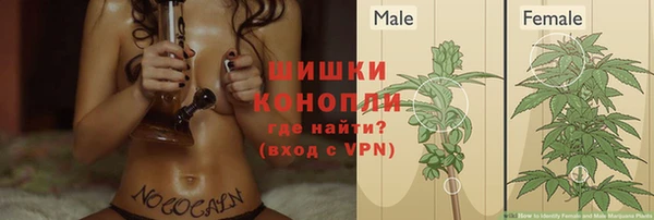 COCAINE Каменка