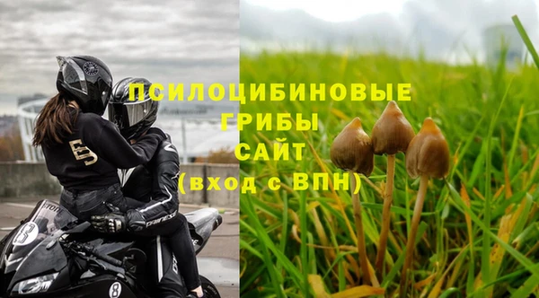 гашик Карталы